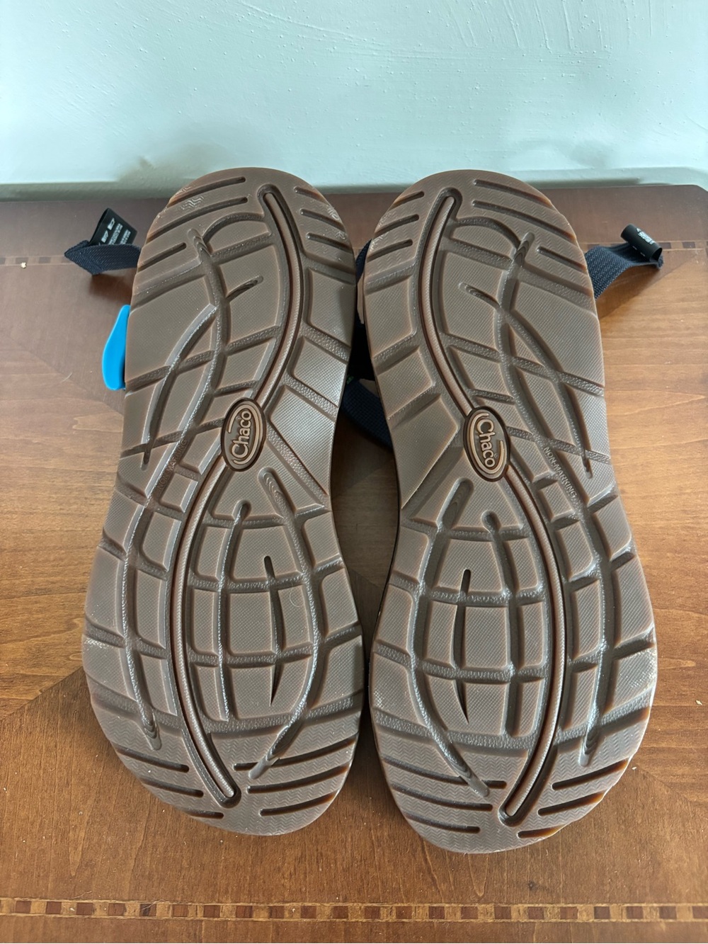 Women's Z/1 Adjustable Strap Classic Sandal Chroma Blue - Picture 5 of 6